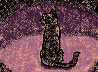 Cat <3
