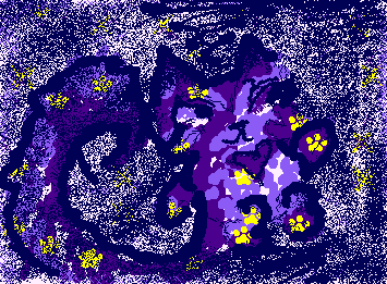 Message from the paws