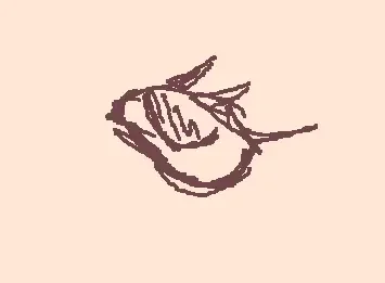 Animation test
