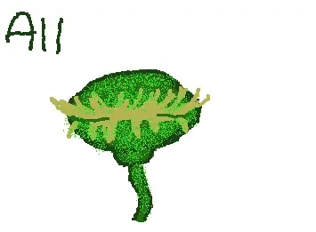 The Venus fly trap