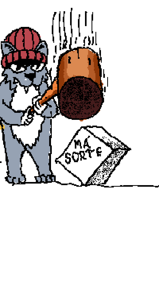 Gatinho da sorte