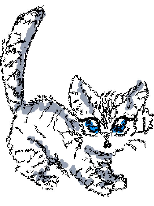 KITTYYYYYY