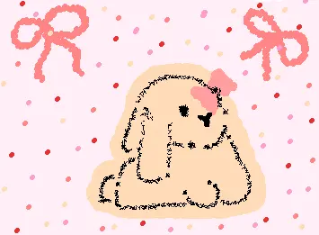 rabbit   ❁´◡`❁