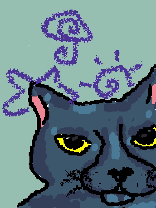 meow