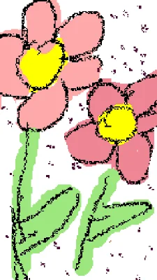 Flowers🌷🌸💐