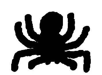 spider
