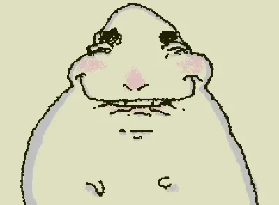 hamster