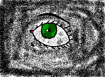 an eye