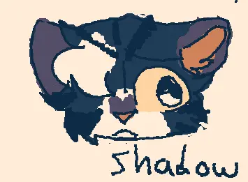 Shadow :D