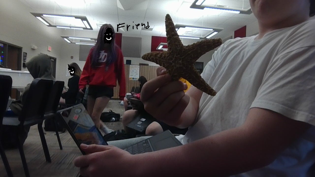 my friend had a starfish in school