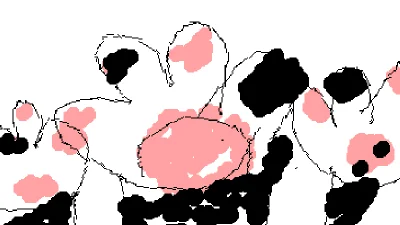 Povo: you have a tuxedo cat