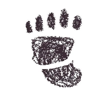 Feet