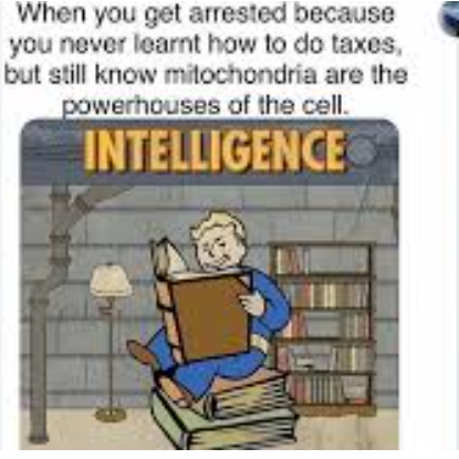 School meme