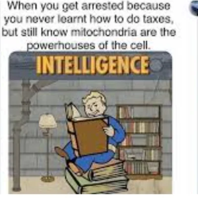 School meme