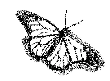 رسمي