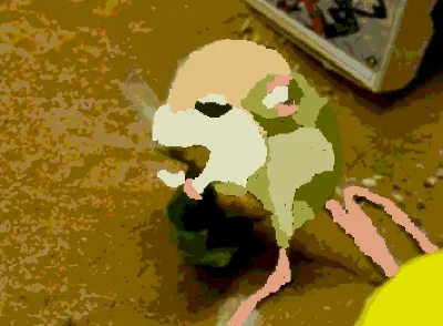 Heptner's pygmy jerboa