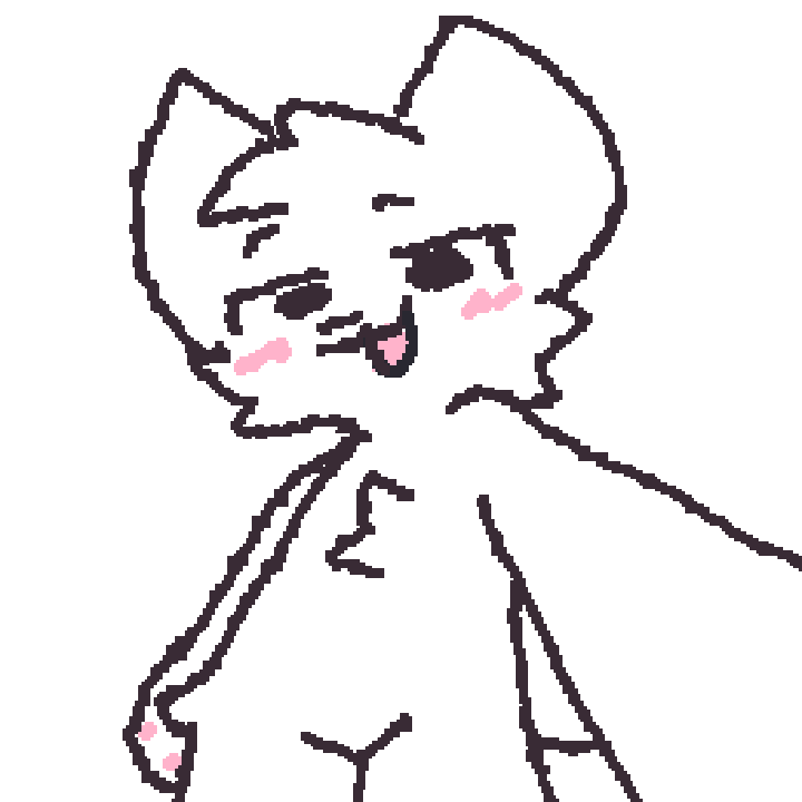 silly cat