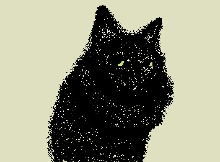 the cat of a toast