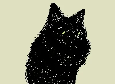 the cat of a toast