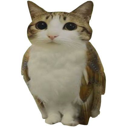 17905