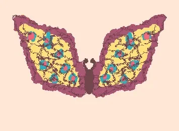 cute butterfly