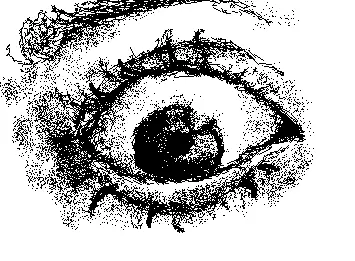eye