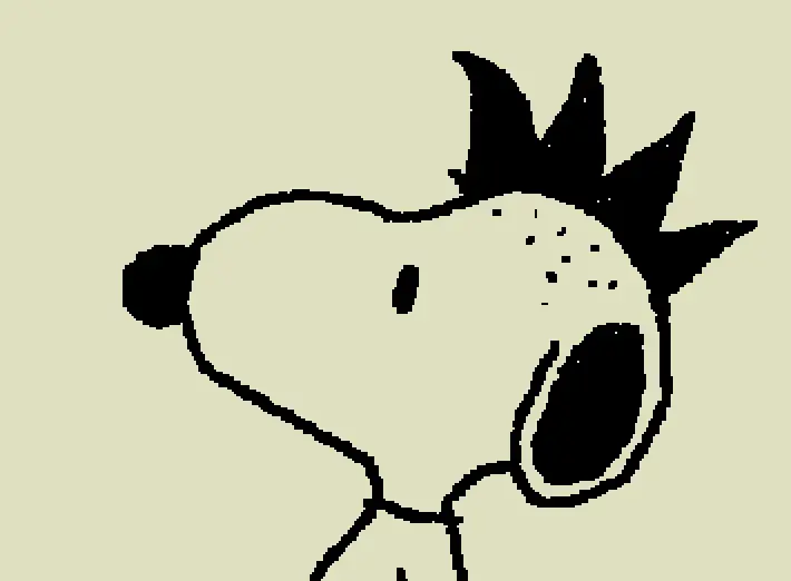 snopp