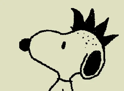 snopp