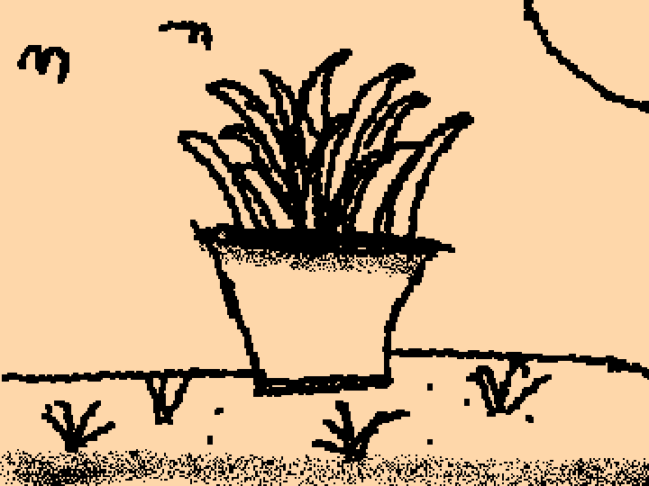 Plant🌿