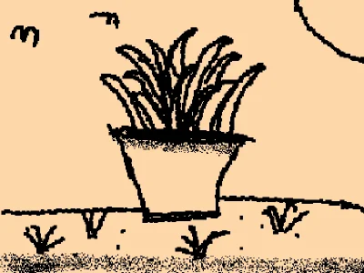 Plant🌿