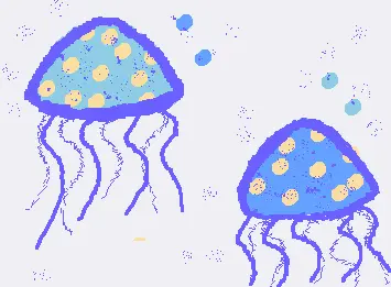Jelly