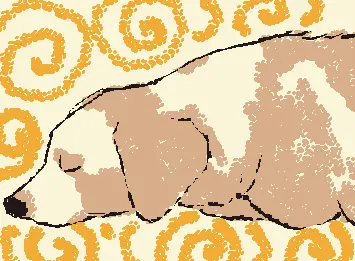 Shiro