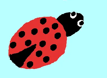 Ladybug