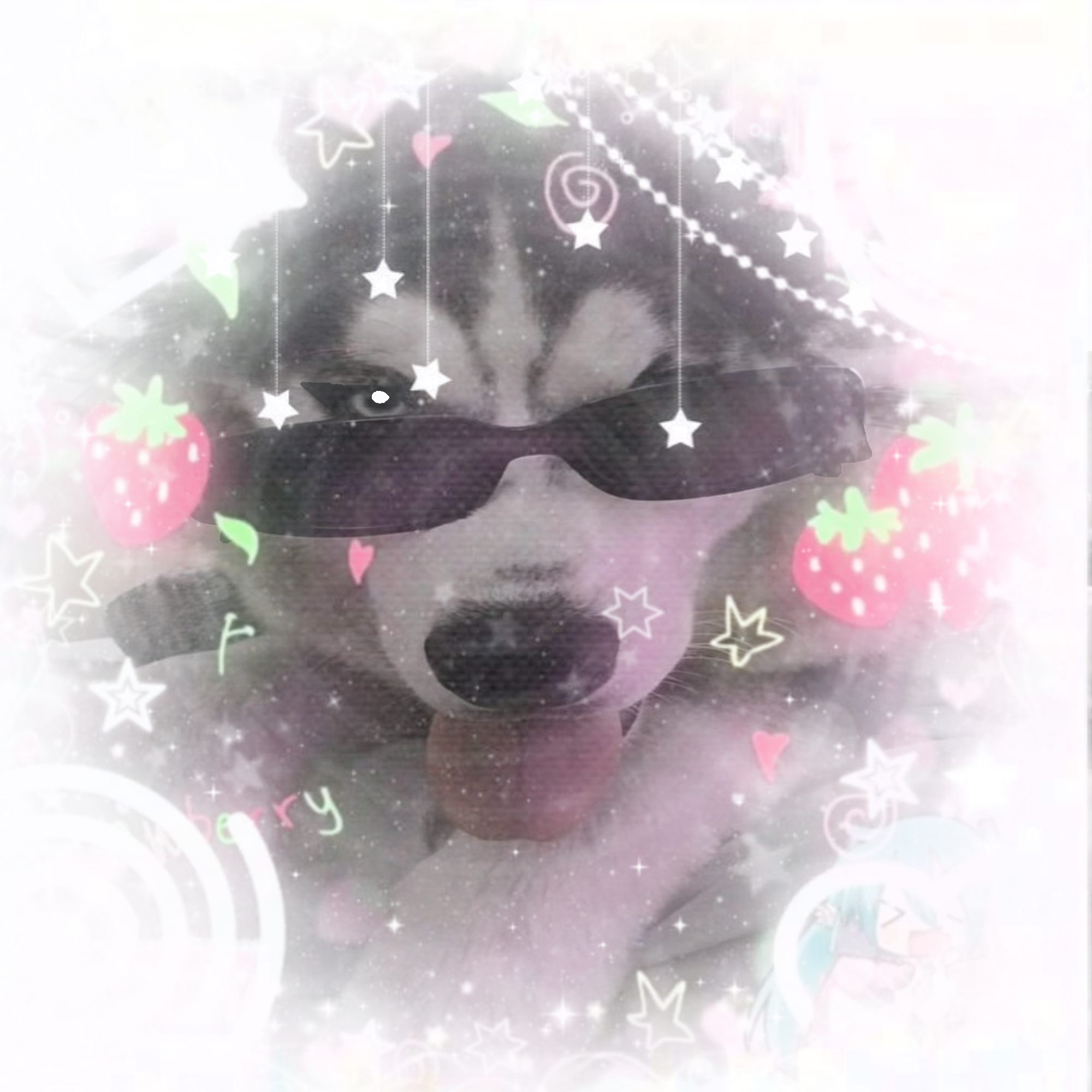 Husky