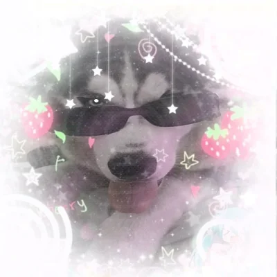 Husky