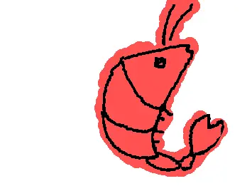 shrimp
