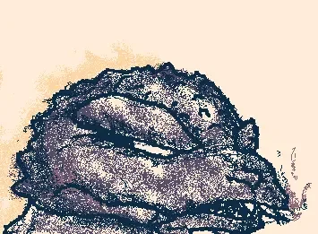 gojigoji