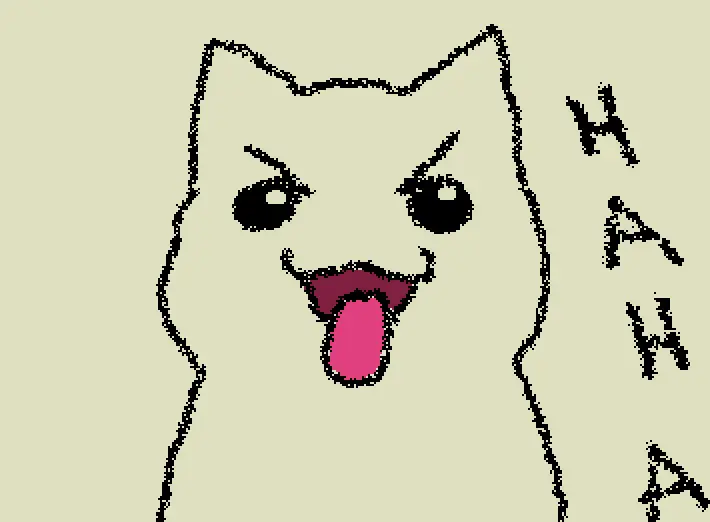 cat