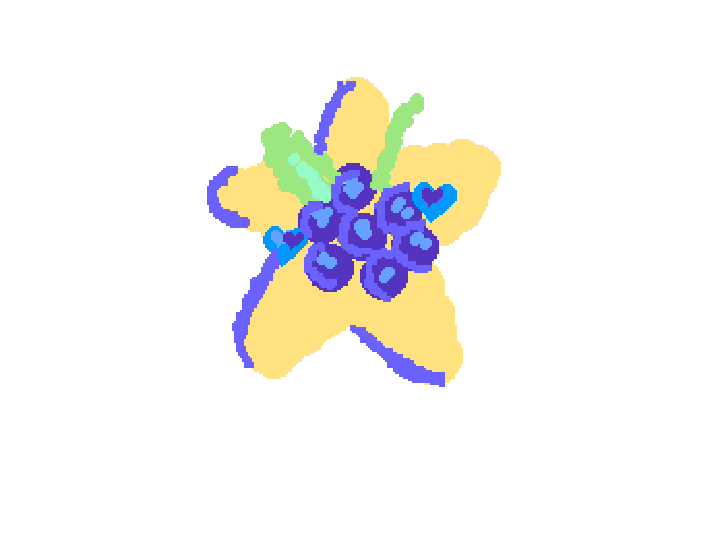Blueberry and star