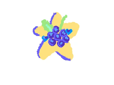 Blueberry and star
