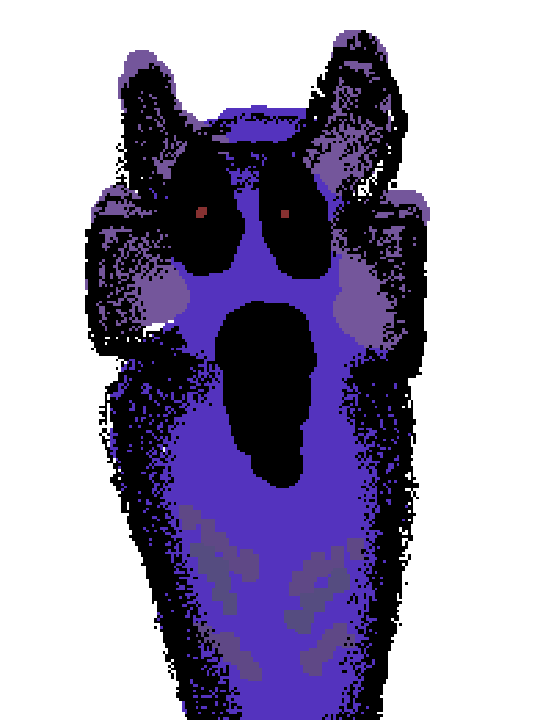 Purple phase 2
