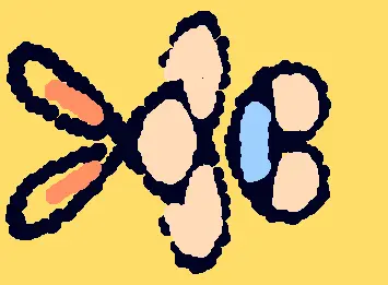 🐰