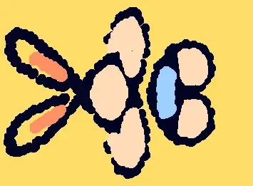 🐰