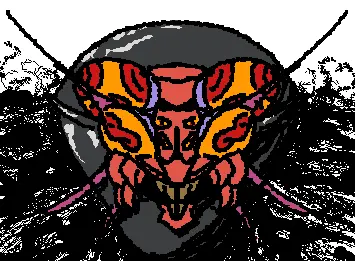 The Cockroach