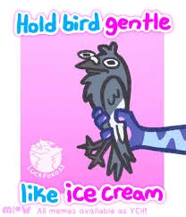 Bird