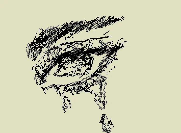 Eye
