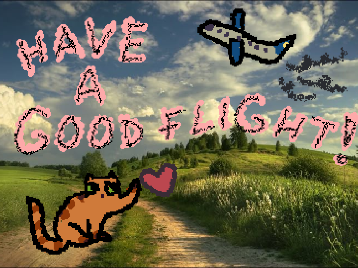 have a good flight!