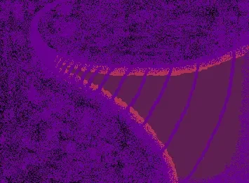 Walking through the void