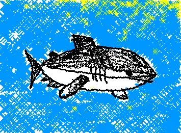 just a shark