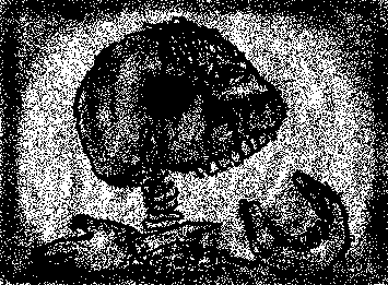 Meat and Bones